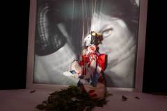 Geisha